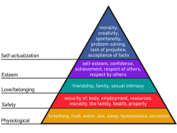Graphic of Maslow's Hierarchy of Needs