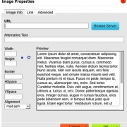 image properties window