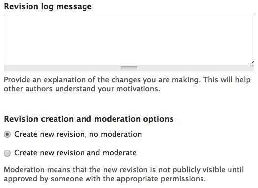 Revision information text